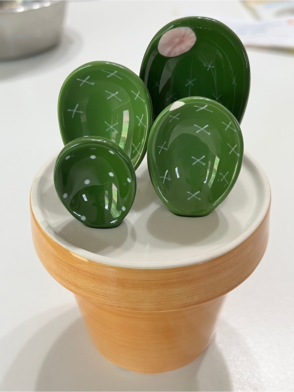Cactus Flower Pot Measuring Spoon Set